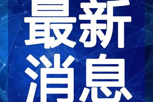 司机大佬爆料视频大全最新,视频大全背后的惊人真相