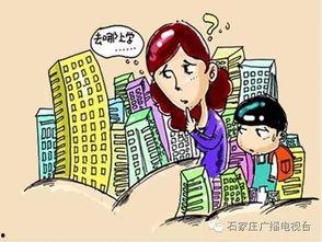 石家庄学区爆料公告最新,学区划分调整与入学政策详解