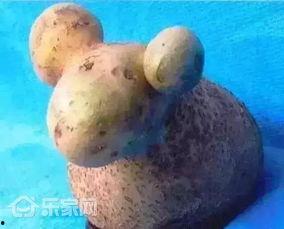 小羊最新爆料出轨是哪一集