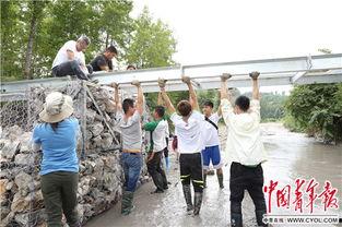 绍兴学生跳桥最新爆料,悲剧背后的人间冷暖与反思