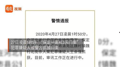 保定新闻最新消息爆料